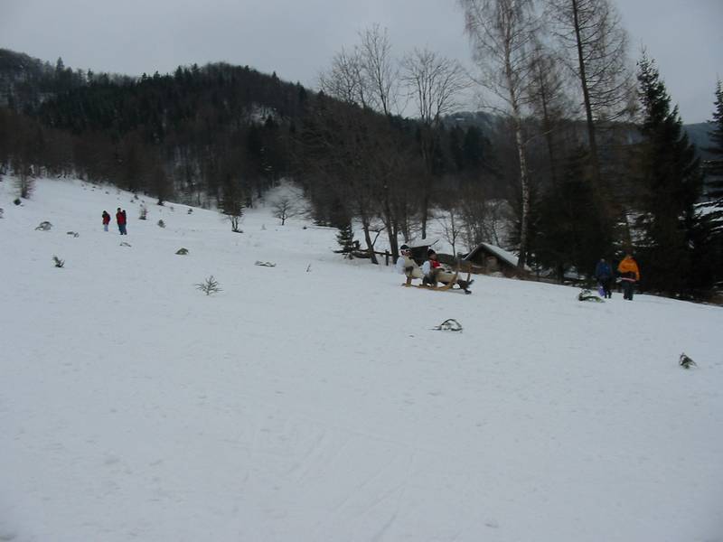 kraliky2_003.JPG, 38429 bytes, 28.1.2003